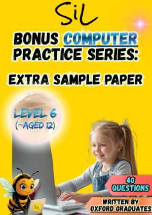SiL Computer Bonus Practice (Extra Sample Paper) - Level 6 (for children aged 12)