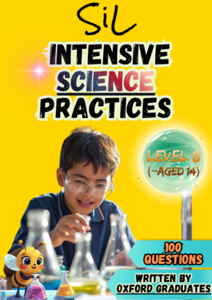 SiL Intensive Science Practices - Level 8 (for children aged 14)